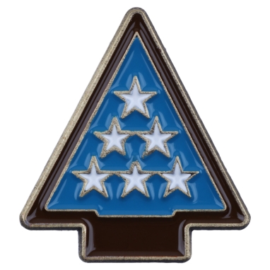 Cub Scout Arrow of Light Core Adventure Pin, Citizenship