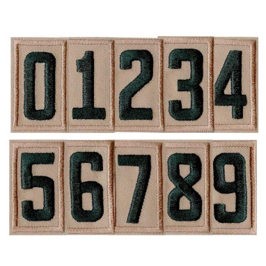 Scouts BSA Unit Numeral 0-9