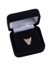 Distinguished Eagle Scout Device, 10K
