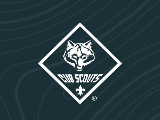 Cub Scouts