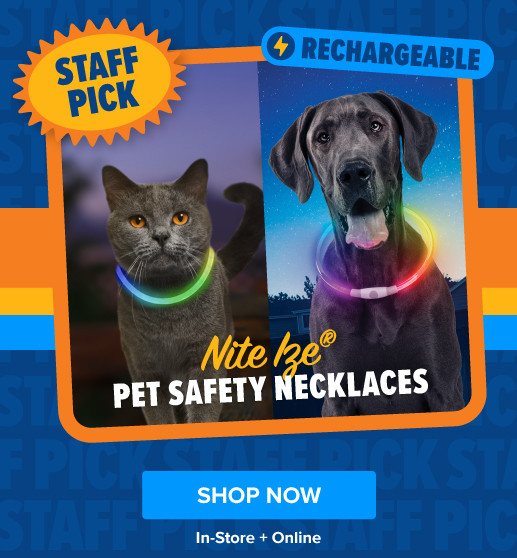 Staff Pick: Pet Safety