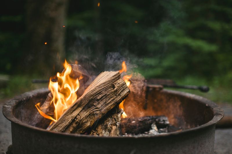 Close-up of a campfire burning safely in a metal fire ring surrounded by forest, demonstrating proper outdoor fire safety.