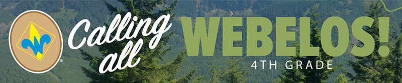 Cub Scout Webelos